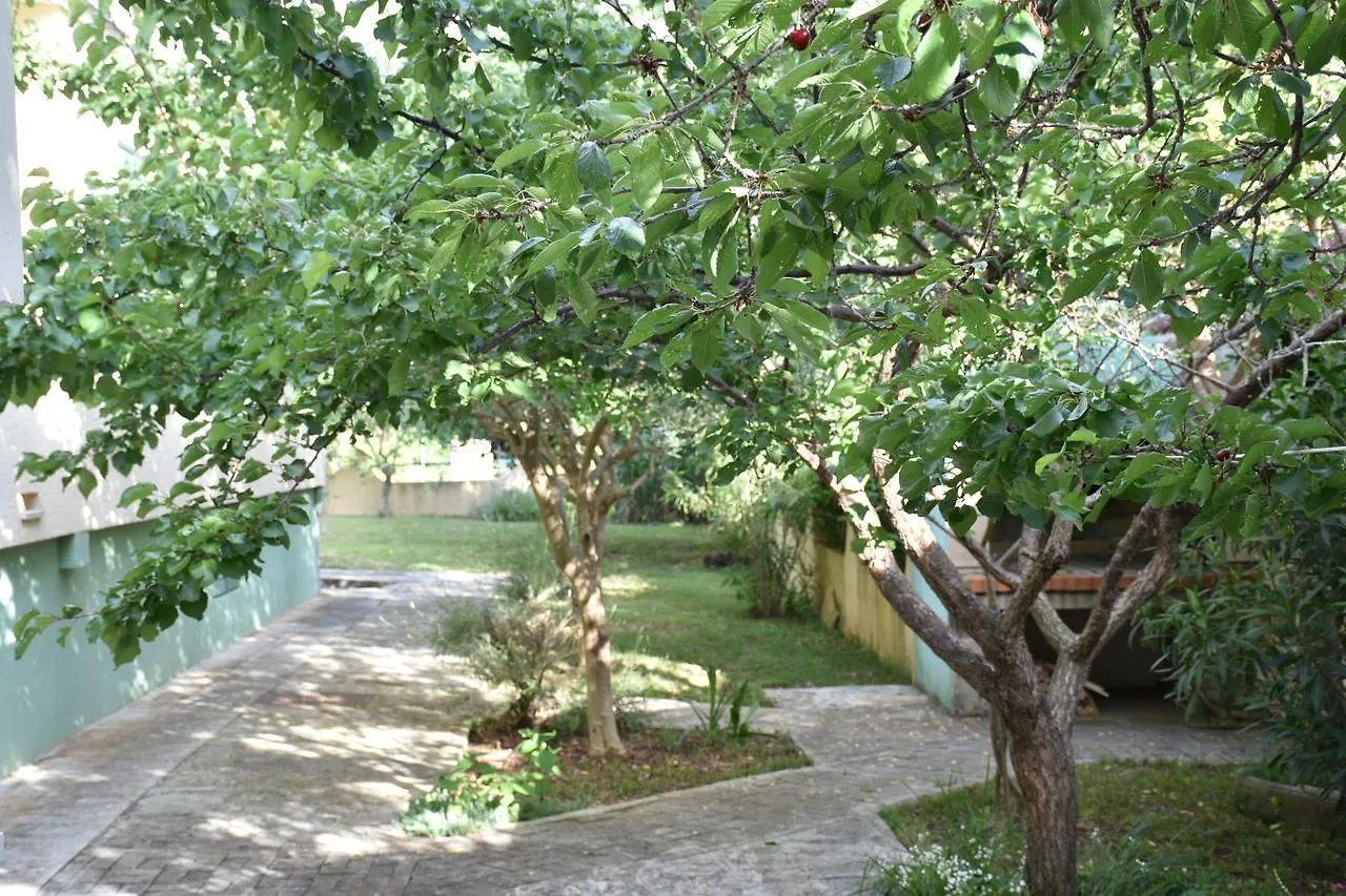 Apartments Antonija Punta Skala Next To Falkensteiner Resort Petrcane Croatia